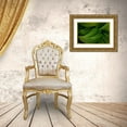 thumbnail image 3 of Mahan, Kathy 24x17 Gold Ornate Wood Framed with Double Matting Museum Art Print Titled - False Hellebore II, 3 of 4