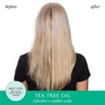 thumbnail image 2 of HASK® Tea Tree Oil & Rosemary Invigorating Conditioner, 2 of 8