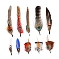 thumbnail image 3 of Sombrero Strade Fareast Limited Plumas para Manualidades Vaquero Fedora Panamá Estilo A, 3 of 8