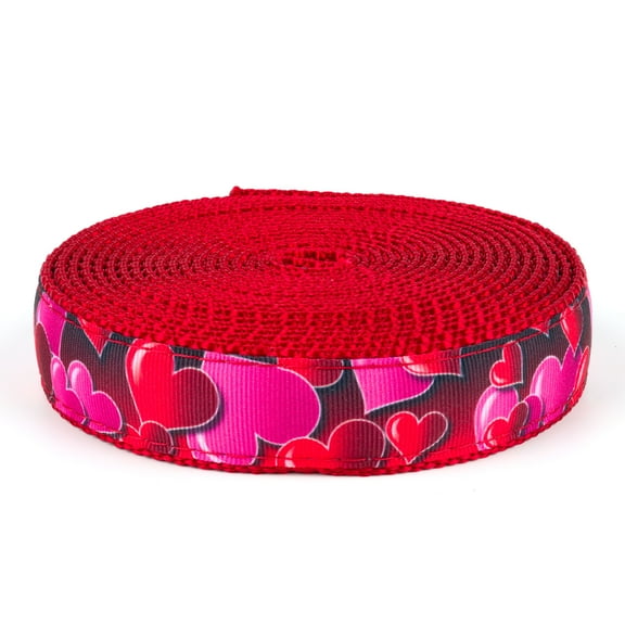 Country Brook Design - Romantic Hearts Ribbon on Red Nylon Webbing (3/4 Inch, 50 Yards)