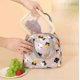 thumbnail image 5 of BRILLAR Bolsa de almuerzo con aislamiento, amplia y abierta, organizador refrigerador resistente al agua y a prueba de fugas para mujeres, hombres, niñas y niños, perfecto para picnics al ai, 5 of 5