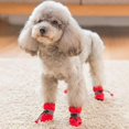 thumbnail image 5 of 4pcs Antiskid Puppy Shoes Pet Protection Soft-soled Pet Dog Shoes Winter Prewalkers Soft Supplies Pet Paw Care, 5 of 8