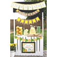 thumbnail image 4 of HTOOQ Set of 2 Lemonade Party Decor Lemonade Banner Lemonade Stand Decoration Summer Lemonade Sign Lemon Decor Lemonade Party Supplies, 4 of 7