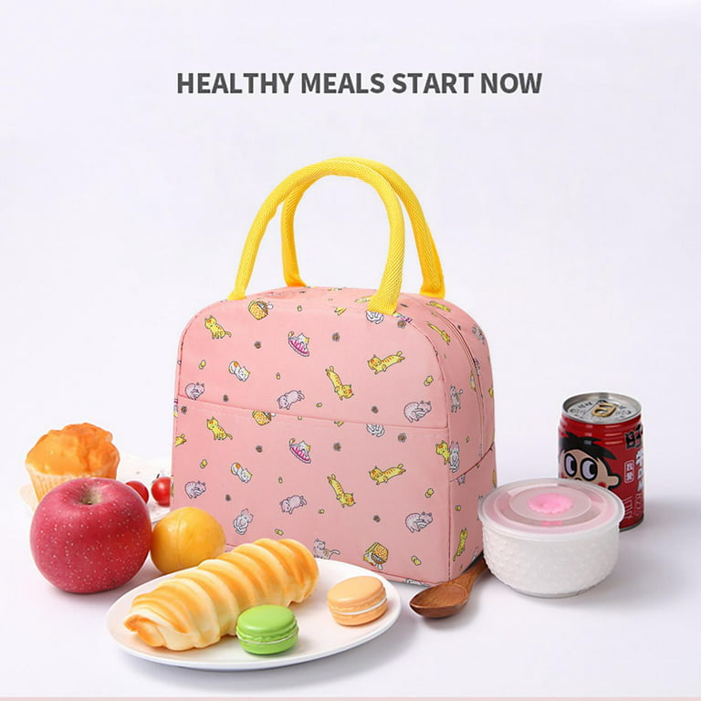 QISIWOLE Insulated Lunch Bag, Leakproof Portable Lunch Box for