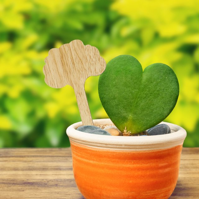 Flor que inserta la tarjeta de tierra Etiqueta de jardinería Nombre de la planta Placa de señal impermeable Wmkox8yii hjk3322