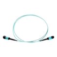 thumbnail image 1 of Axiom - Câble Réseau - MTP/MPO multi-mode (m) vers MTP/MPO multi-mode (F) - 10 m - Fibre Optique - 50 / 125 Microns - OM4 - Rehausseur - aqua, 1 of 4