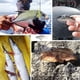 thumbnail image 4 of 5 Piezas Señuelo de Pesca de Lubina Negra Kit de Pesca de Trucha Aparejos de Pesca de Lucio Juego de Señuelos de Pesca, Cebo de Pesca de Mar y Agua Dulce con Gancho, 4 of 4