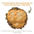 thumbnail image 6 of Pack of 6, Ella's Flats  Light & Crunchy Spicy Superfood Seed Crackers, 4.8 oz, 6 of 7