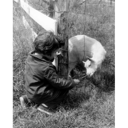Boy feeding goat through fence Canvas Art -  (18 x