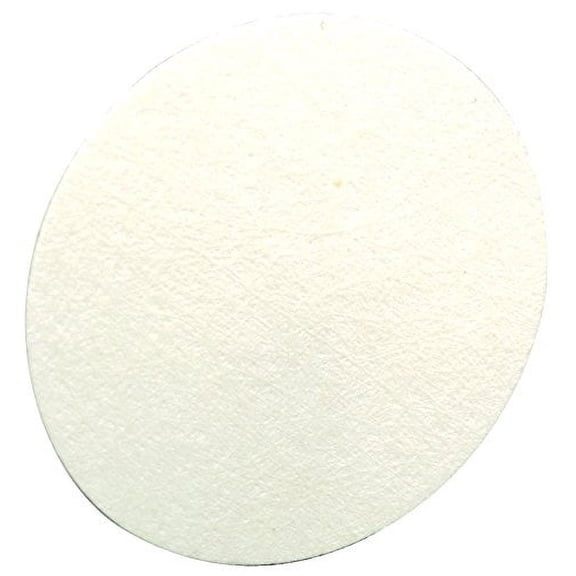 MSA Hydrophobic Filter for FiveStar Alarm & Passport Personal Alarm Gas Monitor, WH - 1 EA (454-710917)