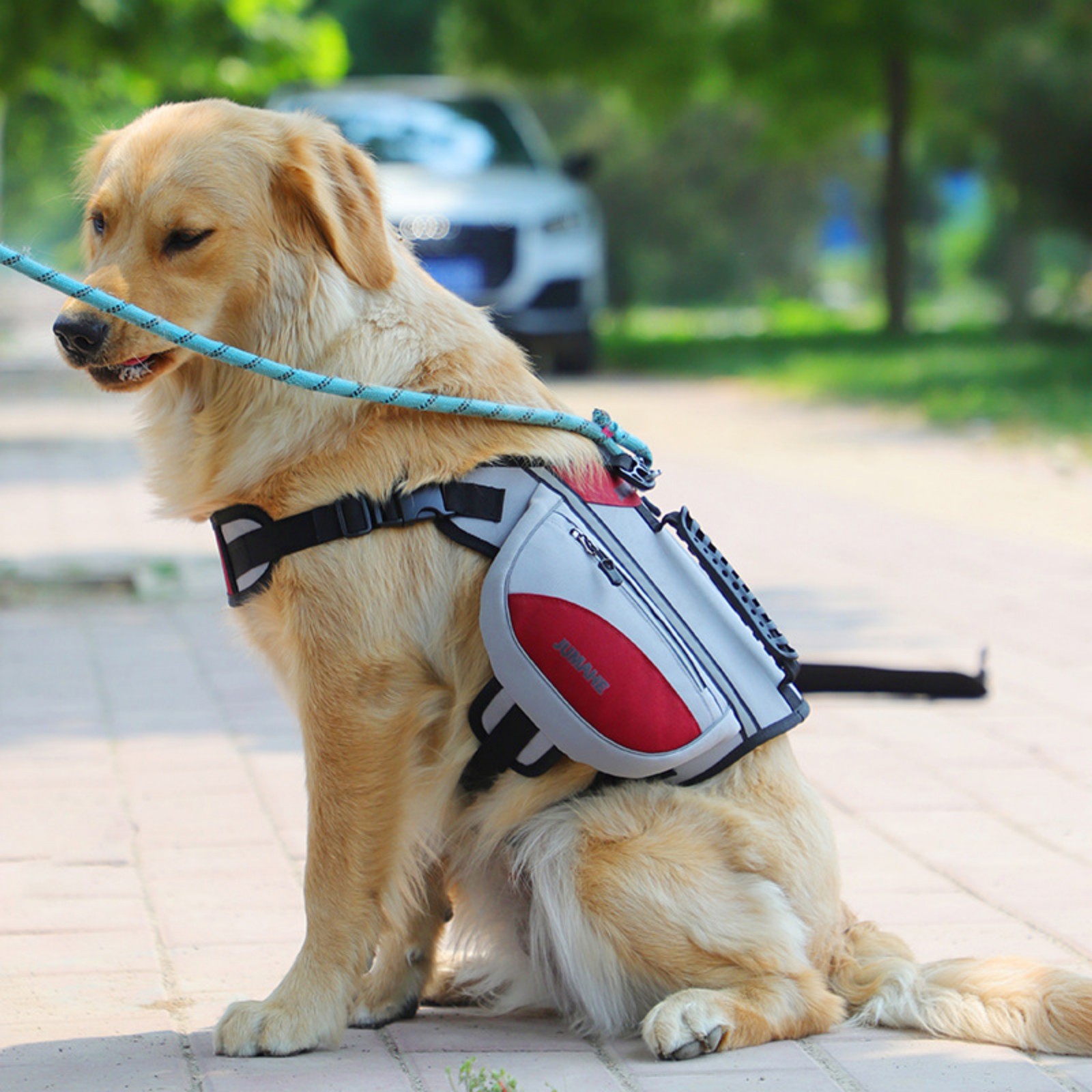 Jaucin Large Dog Backpack Pet Outdoor Self - Carrying Backpack - Anti - Pull, Breathable, Reflective Dog Pack
