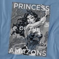 thumbnail image 2 of JLA Princess of The Amazons Women's T Shirt, Carolina Blue, X-Large, 2 of 6