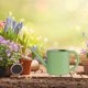 thumbnail image 1 of Regadera para plantas de interior, fácil de usar, portátil, para el hogar y la oficina, práctica regadera multifuncional, herramienta de jardinería. verde 1L, 1 of 8