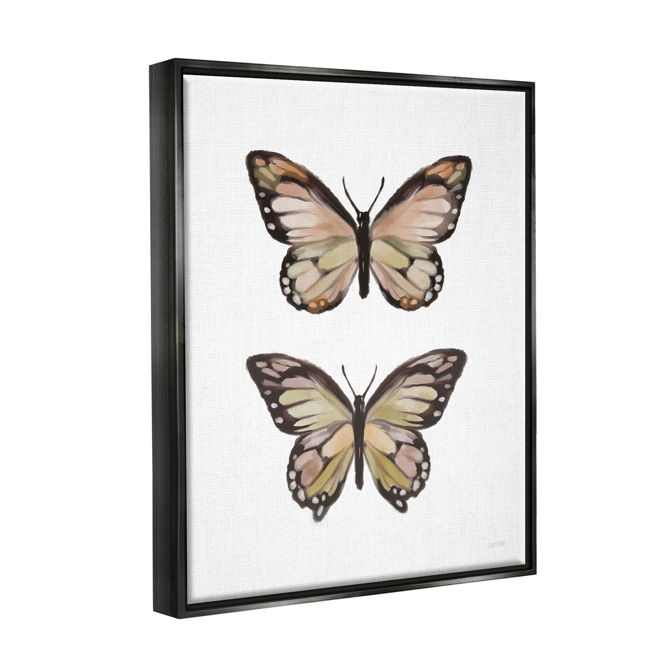 Stupell Industries Butterfly Wings Insect Portrait Graphic Art Jet Black Floating Framed Canvas Print Wall Art, Design by House Fenway