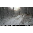 thumbnail image 7 of SPYPOINT Force 48 Trail Camera 48MP Photo 720p Video w/ 48 Low-Glow LEDs for Image Quality, 80 Flash Range, 80 Detection Range, LCD Setup Screen  Non-Cell Cameras for Hunting + 128 GB SD Card, 7 of 7