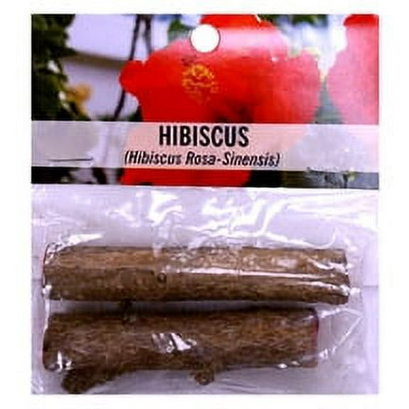 Souvenir Souvenir Hibiscus 12" Red Hibiscus Live Plants in 4" Grower Pots, Ideal for Colorful Yards