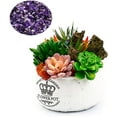 thumbnail image 4 of 200 Pcs Glow in The Dark Stones,Garden Pebbles Rocks for Outdoor, Walkway, Window, Yard Grass, Vase Fillers and Fish Tank Decoration (Color Mixing), 4 of 8