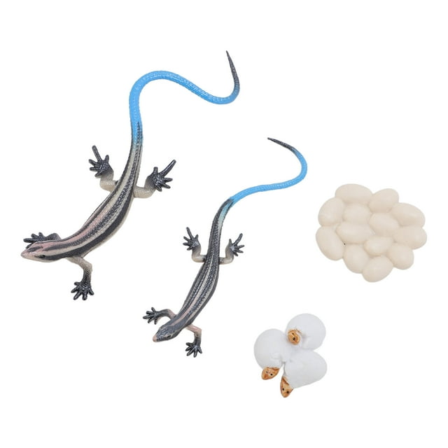 Figura de Reptiles, Modelo de Lagarto Realista Decorativo Para La Decoración del Jardín Domémico