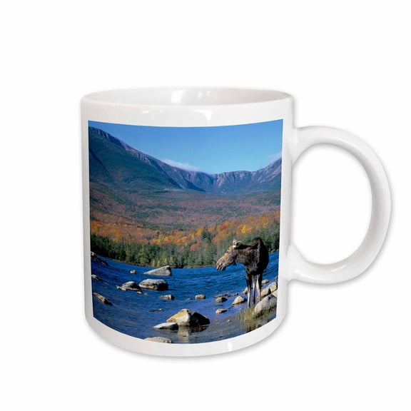 3drose, Cow Moose Wildlife, Mt. Katahdin, Baxter Sp, Maine - Us20 Hga0006 - Howie Garber, 15oz Mug