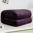 thumbnail image 4 of Super Soft Thick Ultra Plush Premium Luxury Warm Cozy Microfiber Fleece Flannel Throw Picnic Sofa Couch Bed Blanket, 4 of 4