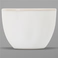 thumbnail image 1 of Tuxton GAA-042 8 oz Agave Bouillon Cup&44; Blanc, 1 of 1
