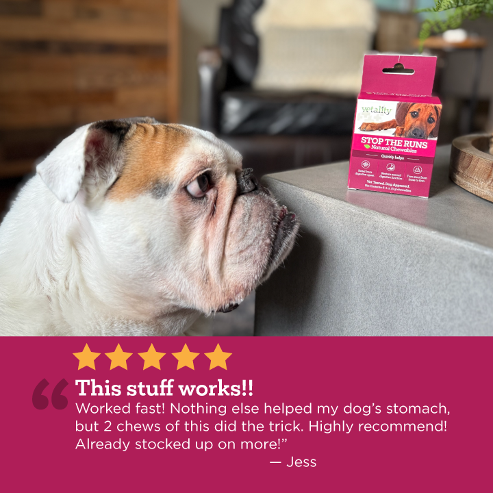 Vetality Stop The Runs, Anti-Diarrhea Chewable Tablets for Dogs, 6 Count.  Fast Acting and Supports Normal Bowel Function for Dogs.  Chicken Apple Flavor.