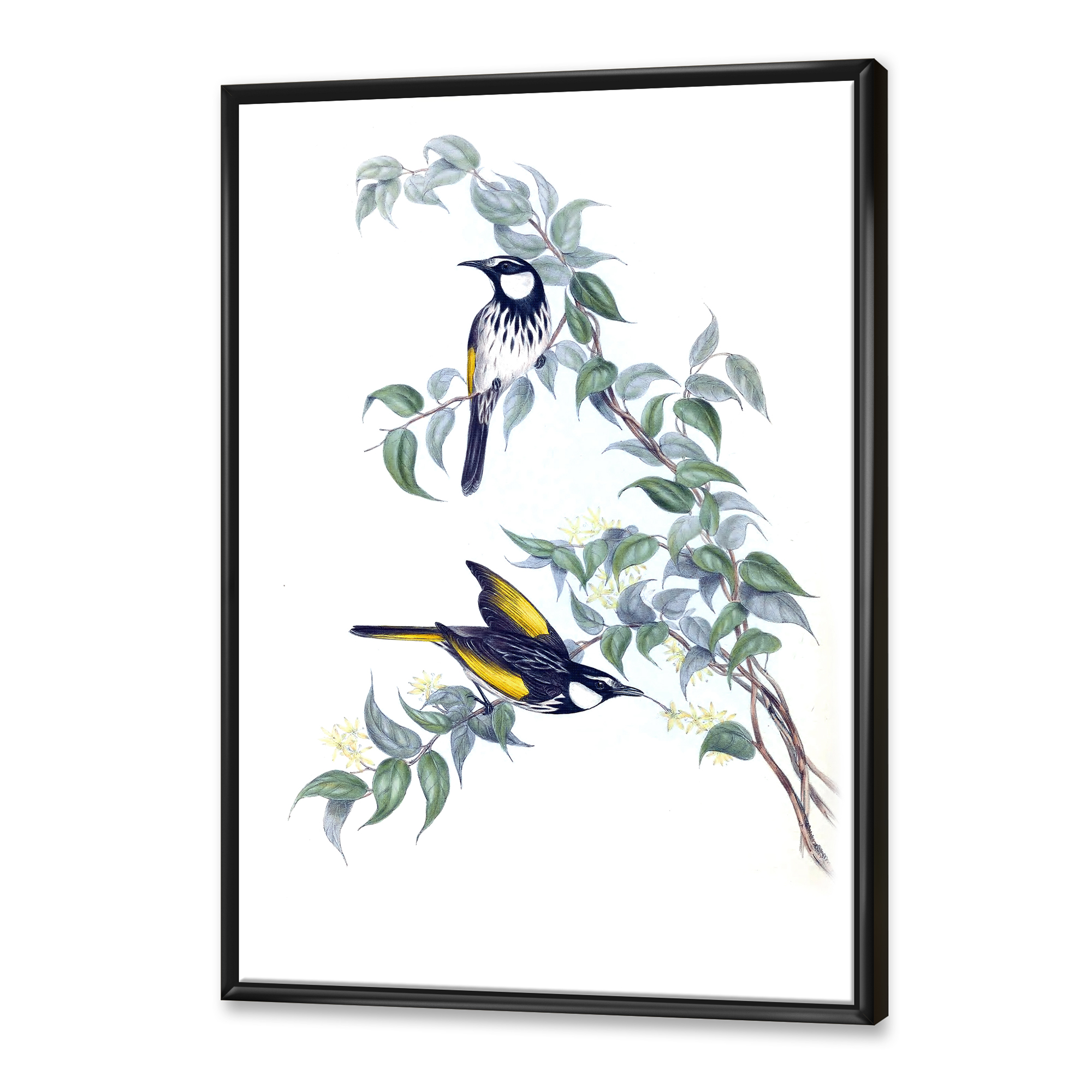 Designart 'Ancient Australian Birds On A Branch' Traditional Framed Canvas Wall Art Print