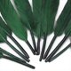 thumbnail image 5 of 50 piezas de plumas de ganso teñidas perfectas para la fabricación de joyas/decoración de disfraces, etc. 4-6" Macarena Pluma de ganso, 5 of 8