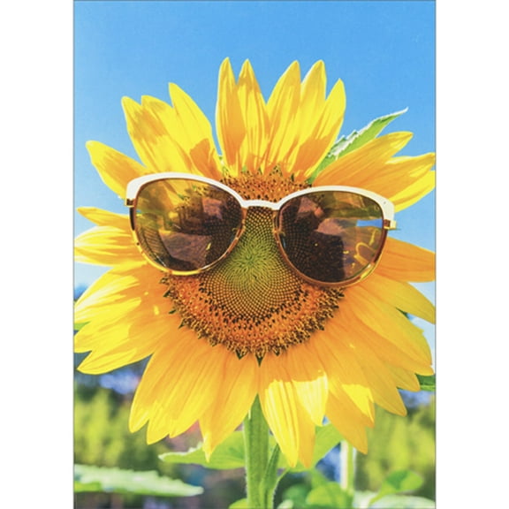 Avanti Press Sunflower Wearing Sunglasses Against Blue Sky Mother's Day Card