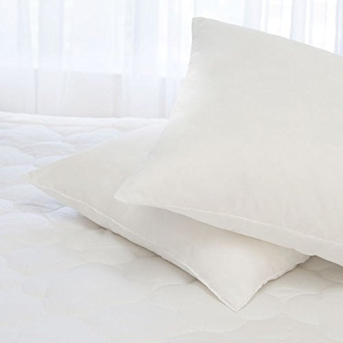 dreams latex pillow