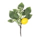 thumbnail image 1 of Ramitas de Limón de Imitación Relleno de Espuma Florero Amarillo Tallos de Limón con Hojas Decoración de Limón Prop para el Hogar Ramas de Frutas Artificiales Limón ANGGREK  Otros, 1 of 8