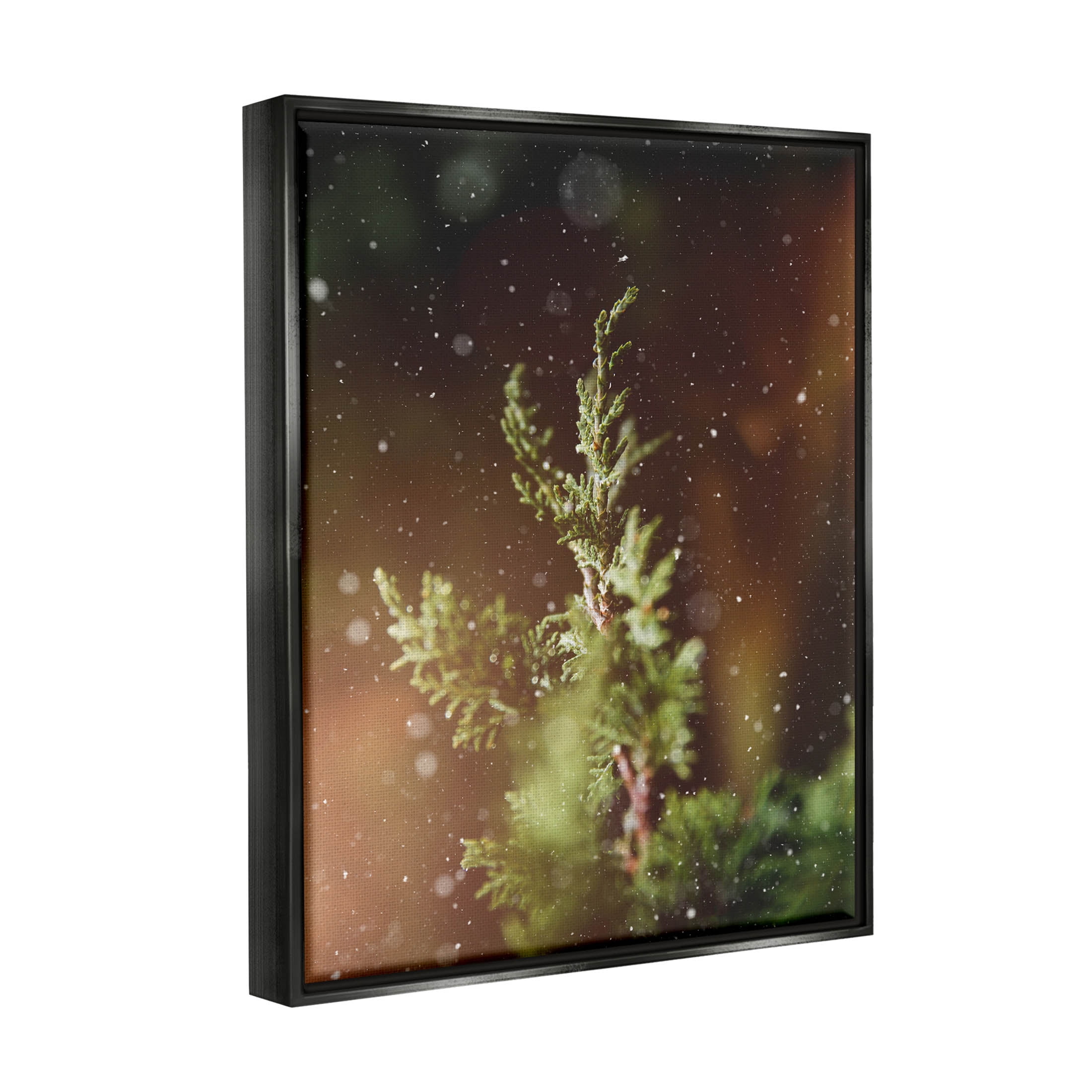 Winter Snowfall Night Pine Tree Holiday Photograph Jet Black Framed Art Print Wall Art