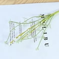 thumbnail image 5 of Easter Decor​ Artificial Willow Twig Green Sprig, 20Pcs Green Wicker Cuttings Decoration Indoor Vase Display, Spring Home Decor for Living Room Table, 5 of 7