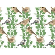 120 Pack, Farmhouse Birds Tissue Paper 20 x 30", Sheet Pack for DIY, Gift Wrapping, Birthday Parties and Events, Made In USA