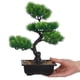 thumbnail image 5 of MERRYHAPY Bonsái Artificial Para Interior Con De Pino Falso Y Acabado, 5 of 6