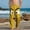 Yellow, variant on Qunyiney with Pockets Pants for Boys Graphic Funny Pants Relaxed Fit Wide Leg Beach Elastic Waist Pants Size 4