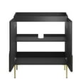 thumbnail image 5 of Alchemist 30" Bathroom Vanity Cabinet (Sink Basin Not Included) in Black Gold, 5 of 9