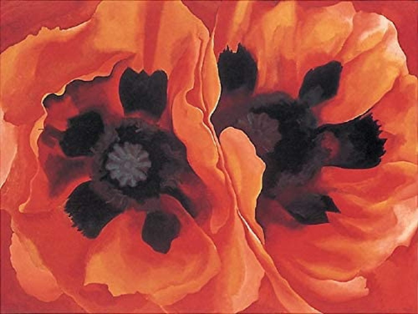 Oriental Poppies 1928 Georgia OKeeffe Print Poster Image Size is 28x21 ...