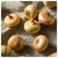 thumbnail image 5 of Everwilde Farms - 100 Organic Yellow Cipollini Onion Seeds - Gold Vault Jumbo Bulk Seed Packet, 5 of 5