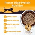 thumbnail image 3 of Wellness CORE 95% Adult Canned Wet Dog Food, Grain Free, Natural, Chicken and Broccoli Recipe, 12.5 oz, Pack of 12 Cans, 3 of 7