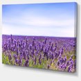 thumbnail image 2 of Close View of Lavender Flower Field - Oversized Landscape Wall Art Print, 2 of 3