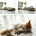 thumbnail image 3 of Kitten Cat Chew Toy, Cat Catnip Sticks For Oral Hygiene, Protection For Gingival And Digestive Support, 30 Natural Sticks Make Cats Happy And Encourage Healthy Habits, 3 of 5