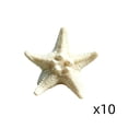 thumbnail image 2 of 10 Piece Mini Resin Starfish Set, DIY Starfish Decor for Beach Crafts Aquarium Layout Indoor Outdoor, Gift& Coastal Decor, 2 of 6
