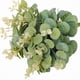 thumbnail image 3 of 20 Piezas Plantas Falsas Hojas de Eucalipto de Seda Decoraciones Artesanales para el Hogar Jardín Boda Álbum de Recortes Flores Artificiales, 3 of 5