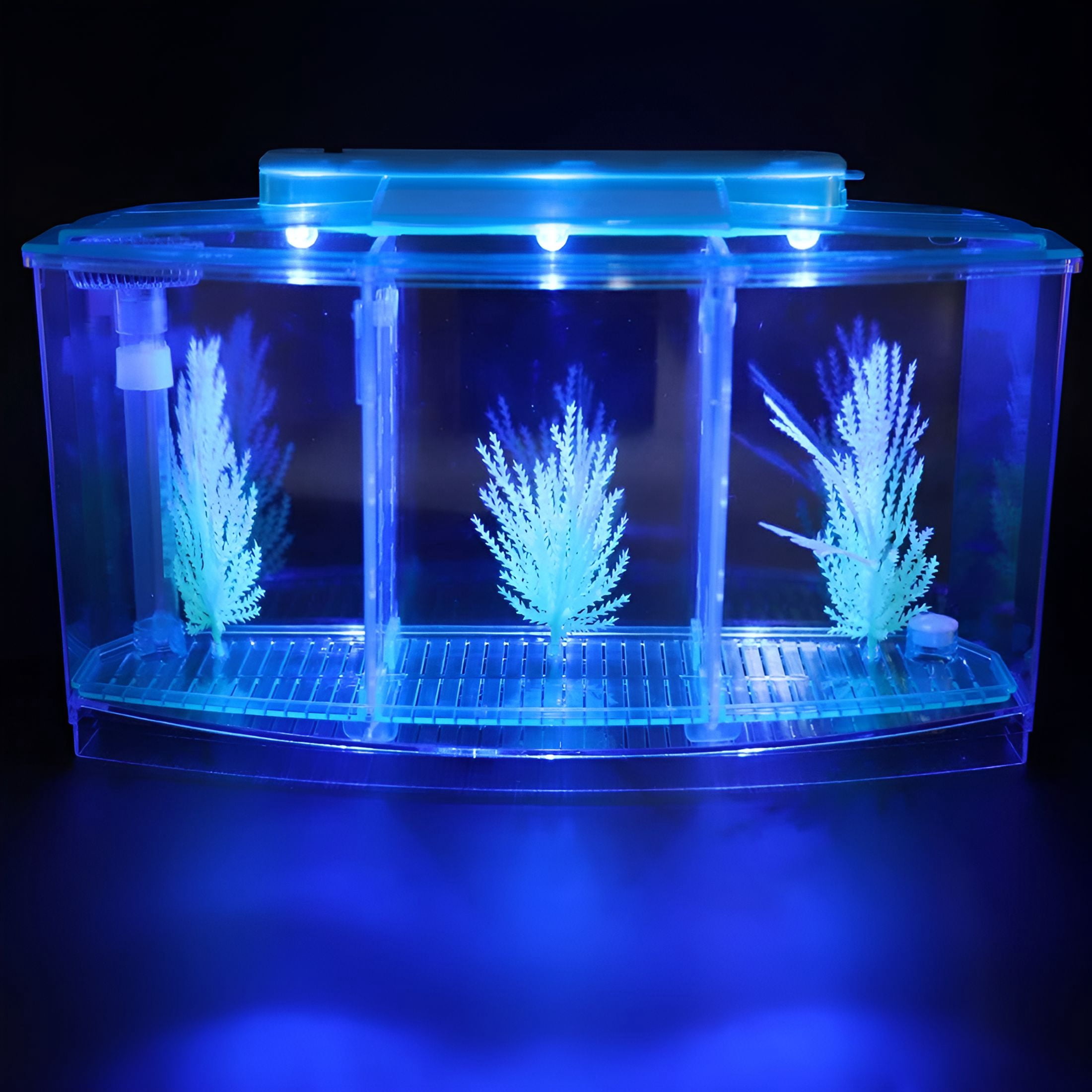 ACDANC Mini Aquarium Fish Tank with LED Light Divider Filter Betta Fish Tank for Small Fish, Betta, Shrimp Desktop Decoration 28x10x15cm