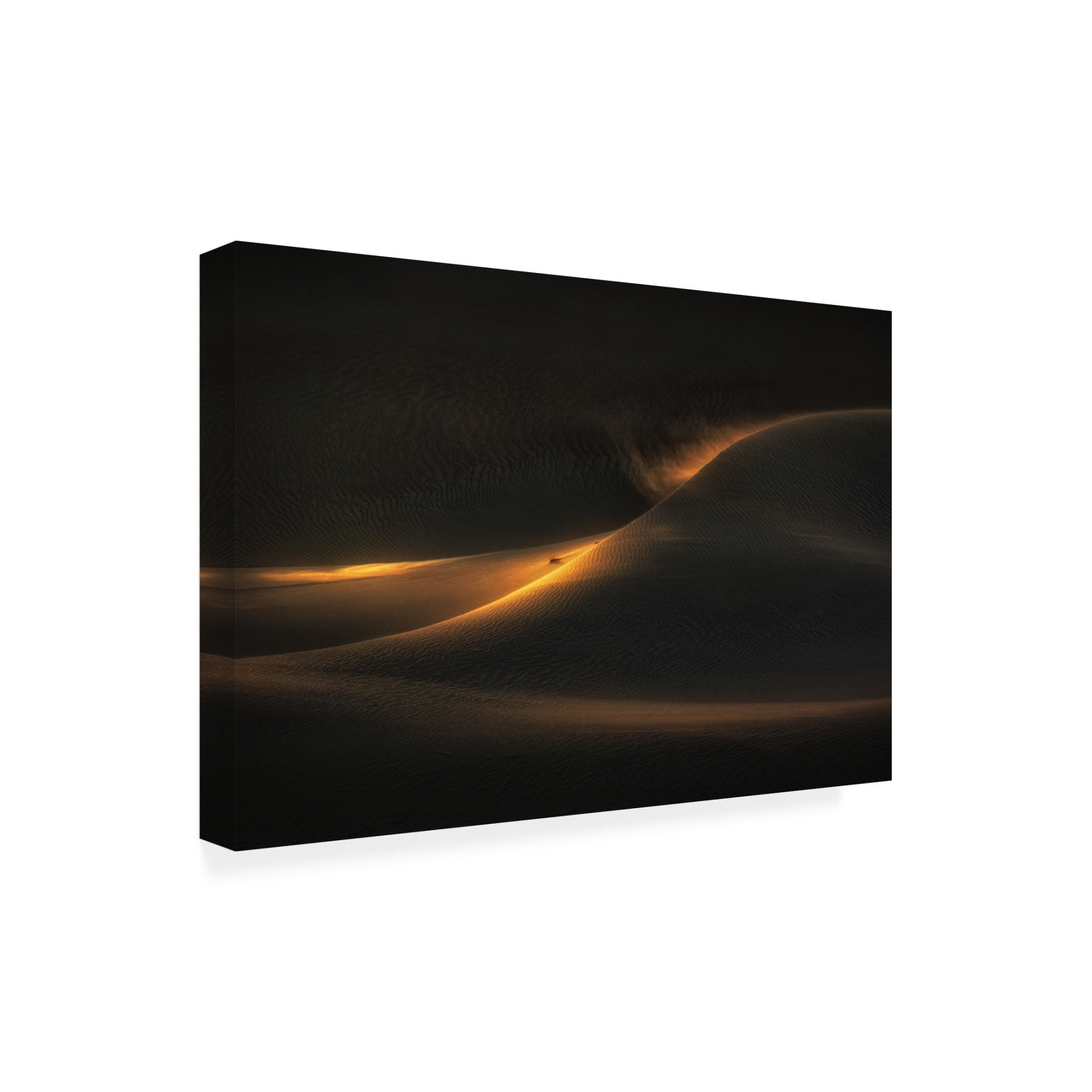 Canvas Wall Art - Babak Mehrafshar Efiap 'Thunderpeal Of Desert' Wall Art for Living Room, Bedroom, or Office D?cor by Trademark Fine Art - 19 x 12 Inches