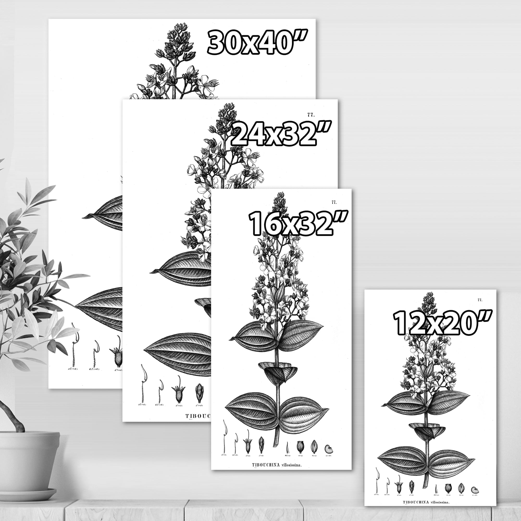 Designart ' Ancient American Flora VI ' Traditional Canvas Wall Art Print