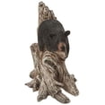 thumbnail image 3 of StealStreet SS-G-54292 Black Bear sleeping on Tree Branch Figurine, 9", 3 of 5