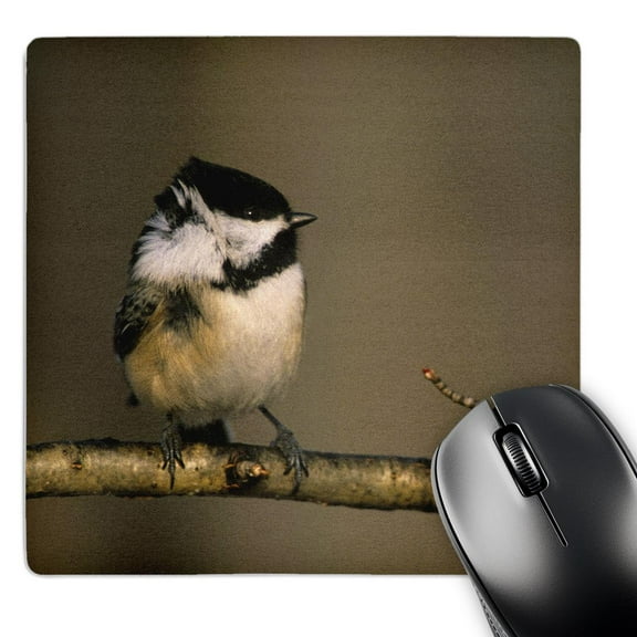 3dRose, Michigan. Black-capped chickadee bird, Winter - US23 BJA0119 - Jaynes Gallery, MousePad