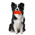 thumbnail image 3 of Walbest Dog Chew Toy Teething Toy, Peanut Shape Bite-resistant Safe No Odor Teeth Cleaning Indestructible Entertainment Reduce Stress Companion Dogs Toy, 3 of 6